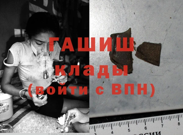 сатива Армянск