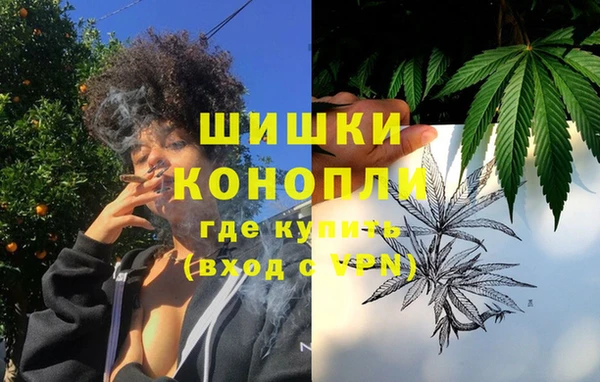 сатива Армянск