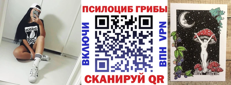 купить наркоту  Сорочинск  Галлюциногенные грибы Magic Shrooms 